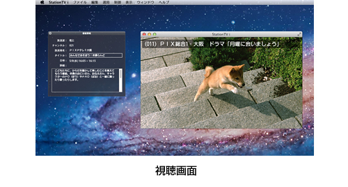視聴画面イメージ