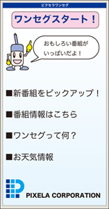 データ放送ウィンドウイメージ