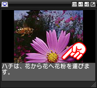 字幕イメージ