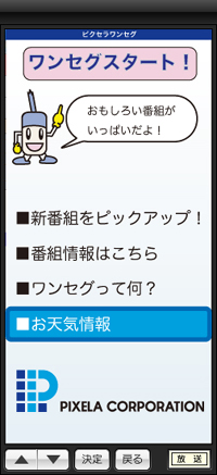 録画ボタン拡大イメージ