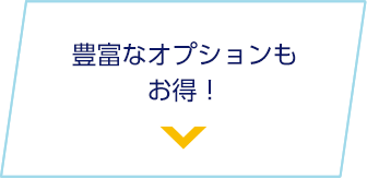 豊富なオプションもお得！