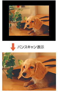 パンスキャン