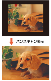 パンスキャン