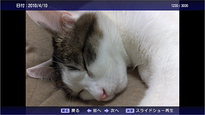 スライドショー機能も搭載