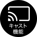 キャスト 機能