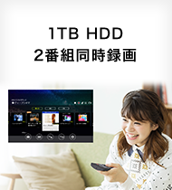 テレビ番組視聴・録画