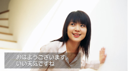 字幕／文字スーパー対応