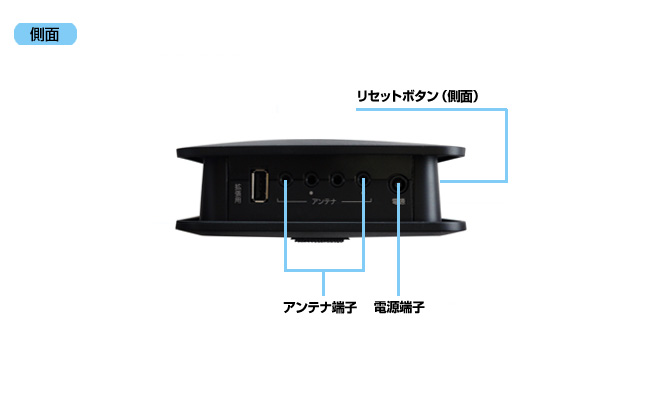 背面写真