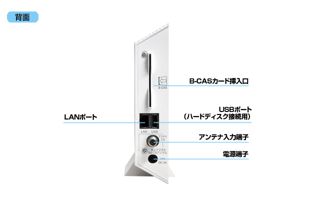 背面写真